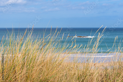 French landscape - Bretagne. View to the sea with dunes and grass in the foreground.