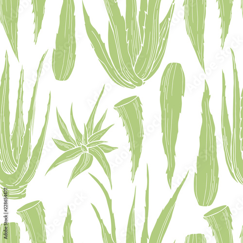 Hand drawn aloe vera plant. Vector  seamless pattern