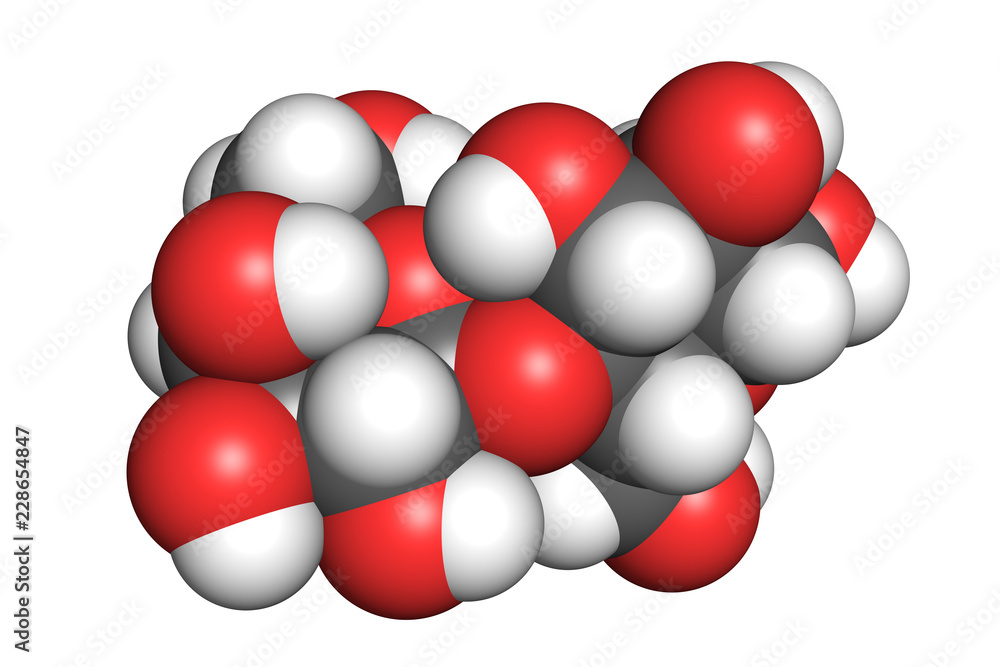 Space-filling model of a lactose molecule. Atoms are coloured according to convention (hydrogen-white, oxygen-red, carbon-grey). Space-filling model of a lactose molecule. Atoms are coloured according to convention (hydrogen-white, oxygen-red, carbon-grey).