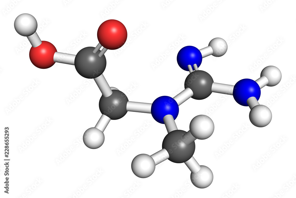 Creatine is an organic molecule naturally find in vertebrates which helps to deliver energy to skeletal muscle and some other tissues. Ball and stick model. Creatine is an organic molecule naturally find in vertebrates which helps to deliver energy to skeletal muscle and some other tissues. Ball and stick model.