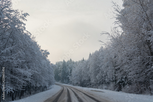 Зимний пейзаж. Грязная загородная дорога на фоне белого снежного пейзажа. Зимний лес. © mikhailava