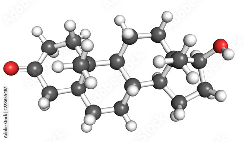 Dihydrotestosterone is a steroid hormone and a contributing factor to male baldness, prostatic benign hyperplasia and prostate cancer.