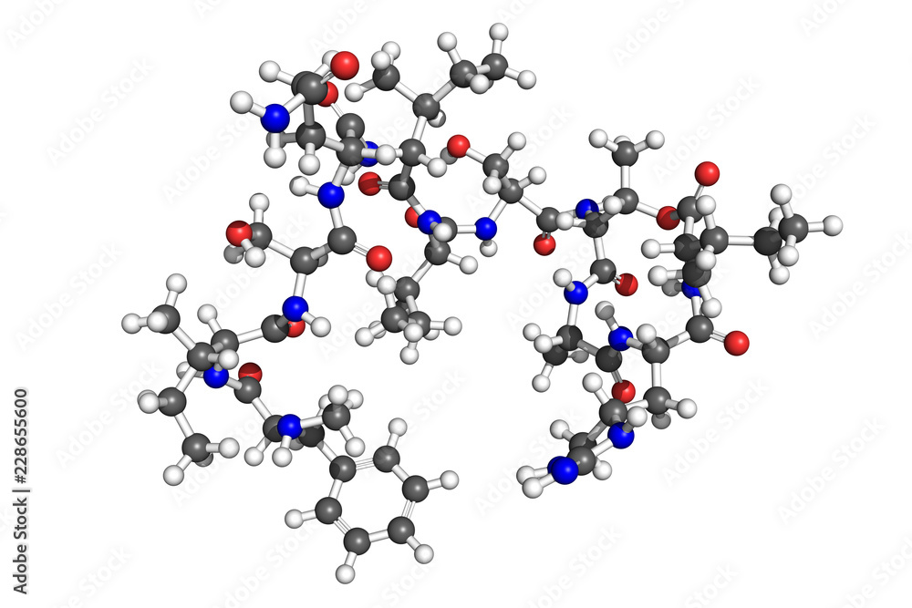 Teixobactin is a recently discovered antibiotic, active against most gram-positive bacteria such as Staphylococcus aureus, Mycobacterium tuberculosis and many more. 3D ball-and-stick model. Teixobactin is a recently discovered antibiotic, active against most gram-positive bacteria such as Staphylococcus aureus, Mycobacterium tuberculosis and many more. 3D ball-and-stick model.