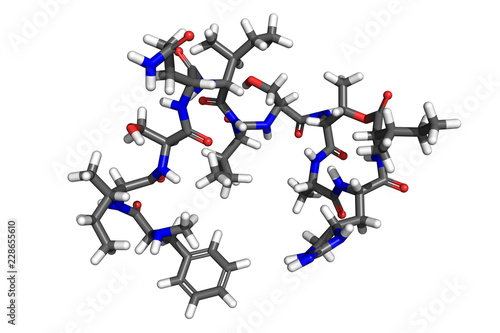 Teixobactin is a recently discovered antibiotic  active against most gram-positive bacteria such as Staphylococcus aureus  Mycobacterium tuberculosis and many more. 3D stick model.