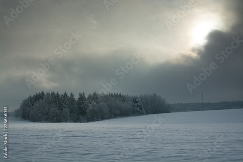 Wallpaper Mural Зимний закатный пейзаж. ОБлачный день. Хмурое настроение. Torontodigital.ca