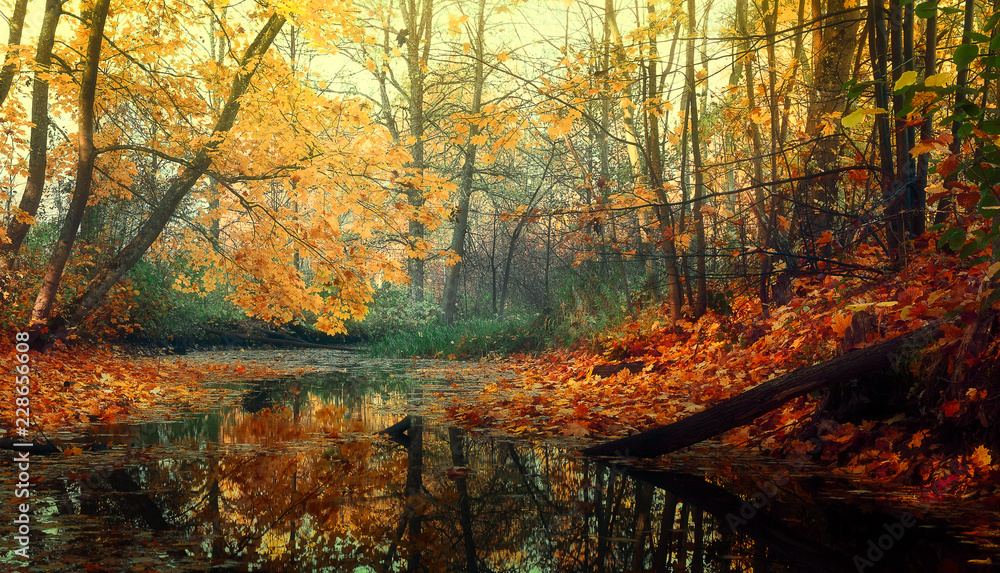 Fototapeta premium jesienny krajobraz