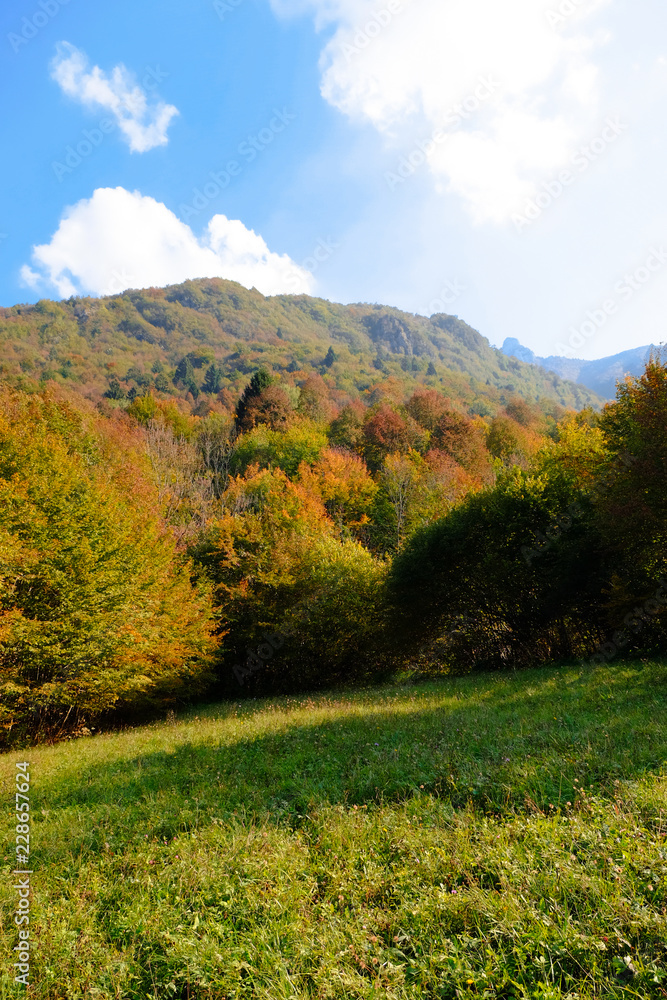 Autumnal Mountain Landscape, Posina, Pasubio, Vicenza, Veneto, Italy; october 2018