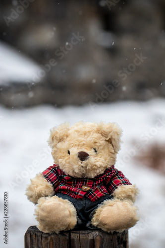 Alone cute teddy bear sitting on wood and snow is falling,white snow background blur stlye. like feel lonely,sadly,sadness,waiting. image for background, backdrop or greeting card for special events