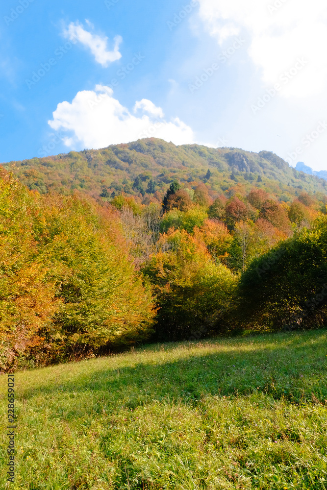 Fototapeta premium Autumnal Mountain Landscape, Posina, Pasubio, Vicenza, Veneto, Italy; october 2018