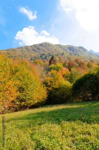 Fototapeta Naklejka Na Ścianę i Meble -  Autumnal Mountain Landscape, Posina, Pasubio, Vicenza, Veneto, Italy; october 2018