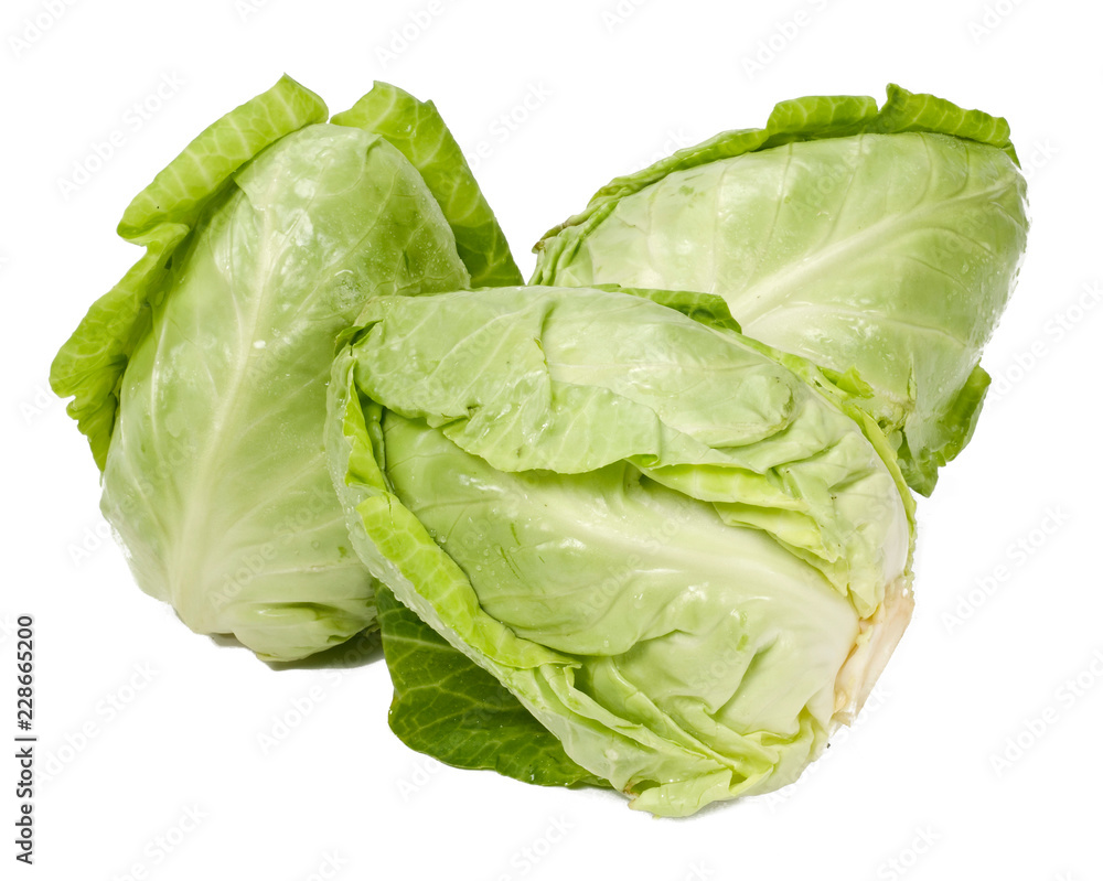 Cavolo friulano su sfondo bianco Cavolo friulano su sfondo bianco