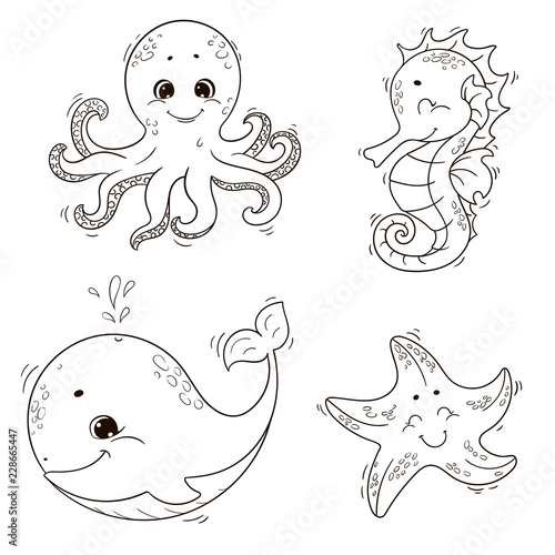 Cute sea animals ( whale, octopus, seahorse, starfish ). Vector black and white outline illustration for coloring book.
