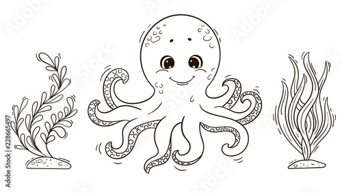 Cute cartoon octopus with seaweed for coloring book.