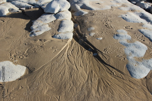 La mer dans les veines