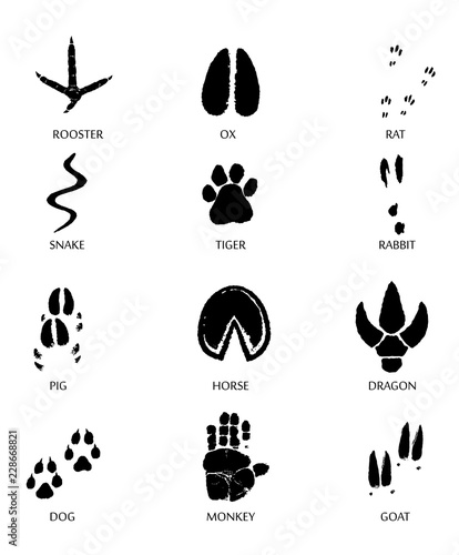PrintChinese zodiac signs icons set.  Paw prints marks , footprints of rat, mouse, snake, dragon, pig, rooster, rabbit, horse, monkey, dog, tiger, ox, bull. Vector illustration