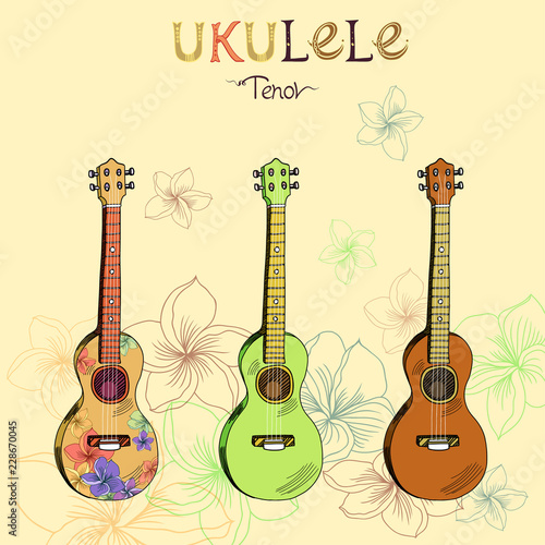 Ukulele tenor set