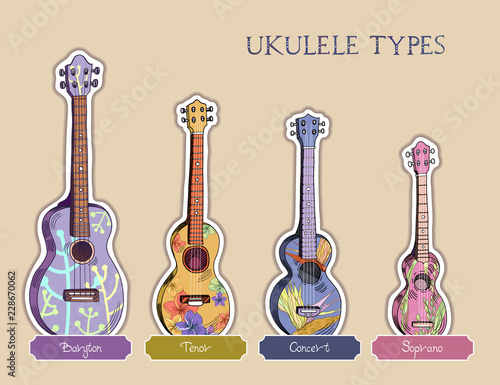 Ukulele types