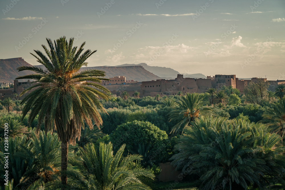 Palm Oasis and Kasbah in Tinghir, Morocco