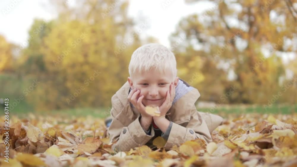 The boy lies in the park on the ground. Beneath it is a carpet of yellow fallen leaves. yellow leaves are pouring from tree to boy. Very beautiful video The boy lies in the park on the ground. Beneath it is a carpet of yellow fallen leaves. yellow leaves are pouring from tree to boy. Very beautiful video