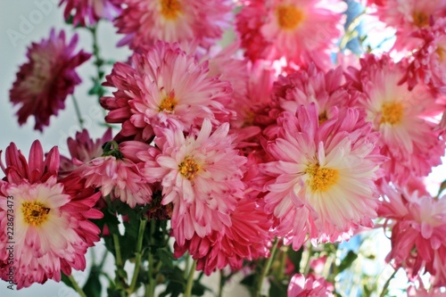 bouquet of flowers