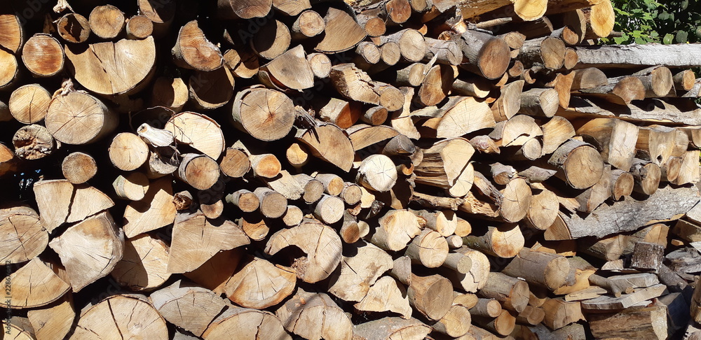 Cut trees background. Big wall of stacked wood logs showing natural discoloration Cut trees background. Big wall of stacked wood logs showing natural discoloration