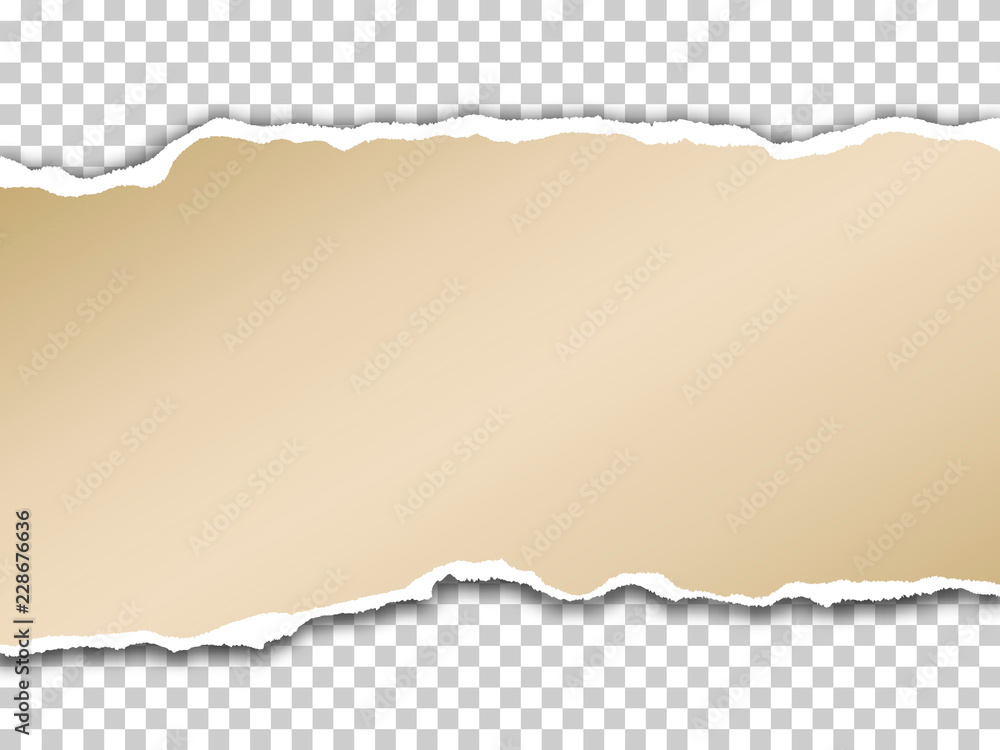 Torn paper with shadow on transparent background. Vector realistic ripped paper note