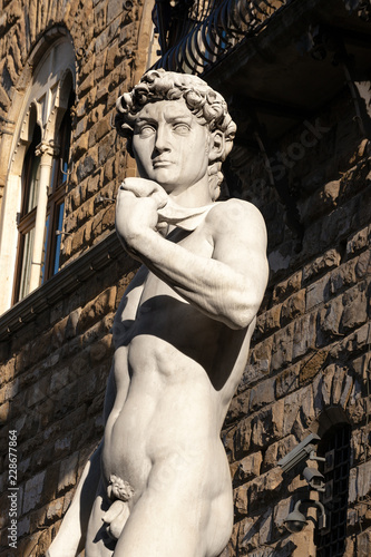 David of Michelangelo - Florence Italy