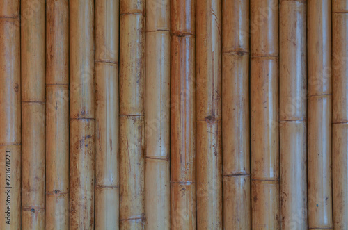  Bamboo wood background