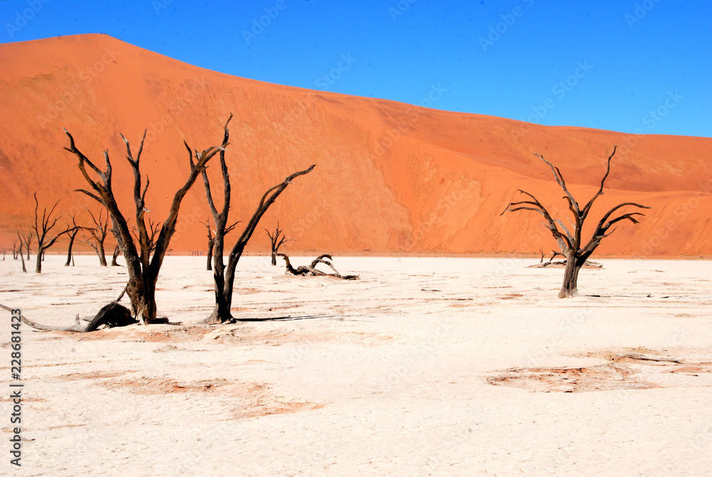 Sossusvlei nel Namib Naukluft National Park in Namibia Africa