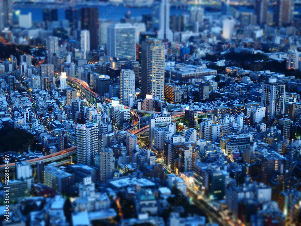 Fototapeta premium 東京の夜景