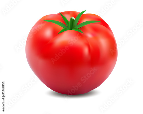 Vector  pepper red paprika, 3d realistic  isolated on white background, EPS 10