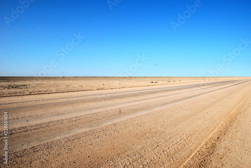 Deserto del Namib in Namibia  Africa