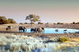 al Parco Nazionale Etosha in Namibia Africa