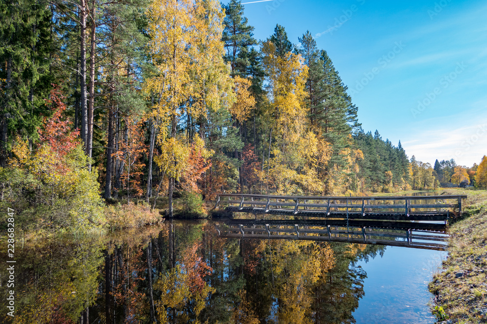 autumn trees reflected in a calm channel in Nykroppa Sweden