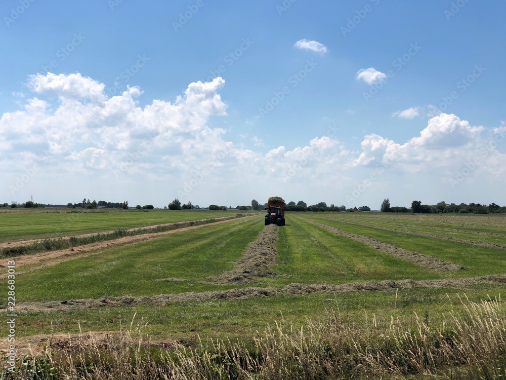 Farmer at work picking up grass