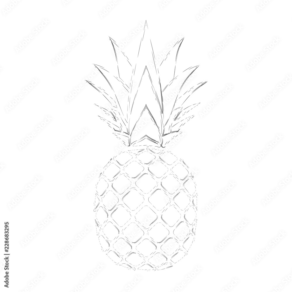 Pineapple grunge with leaf. Tropical exotic fruit isolated white background. Symbol of organic food, summer, vitamin, healthy. Nature logo. Design element silhouette icon. Vector illustration Pineapple grunge with leaf. Tropical exotic fruit isolated white background. Symbol of organic food, summer, vitamin, healthy. Nature logo. Design element silhouette icon. Vector illustration