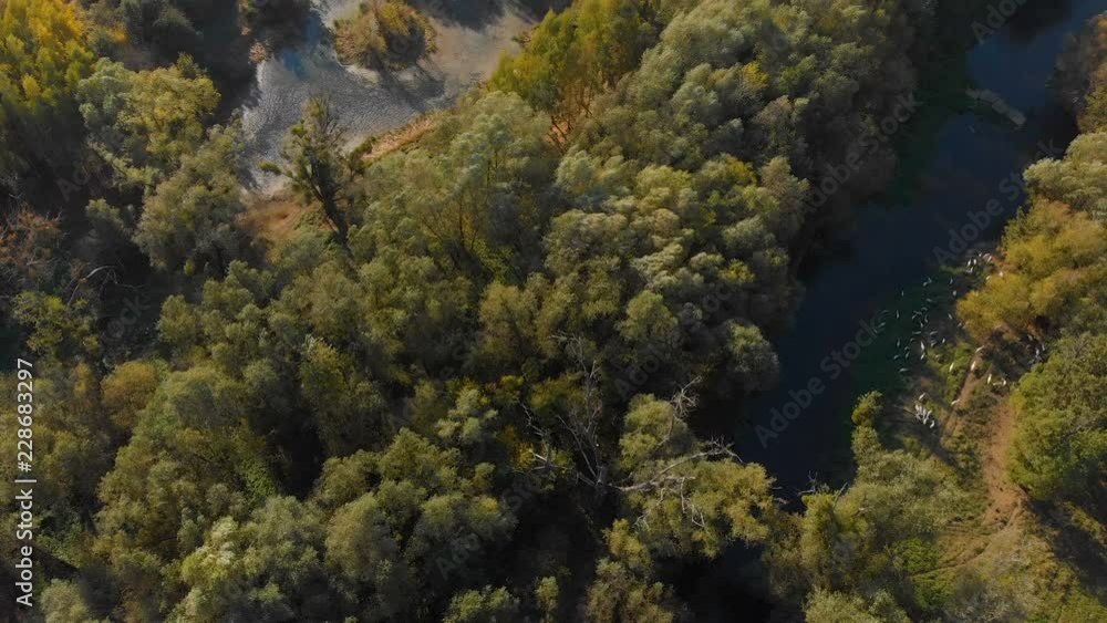 aerial view of a rural landscape with some trees and the meandering river aerial view of a rural landscape with some trees and the meandering river