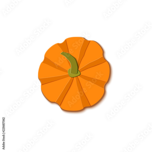 Paper cut orange pumpkin top view. Origami whole sweet pumpkin. Design elements for Halloween party, Thanksgiving Day card. Vector illustration. Paper art style