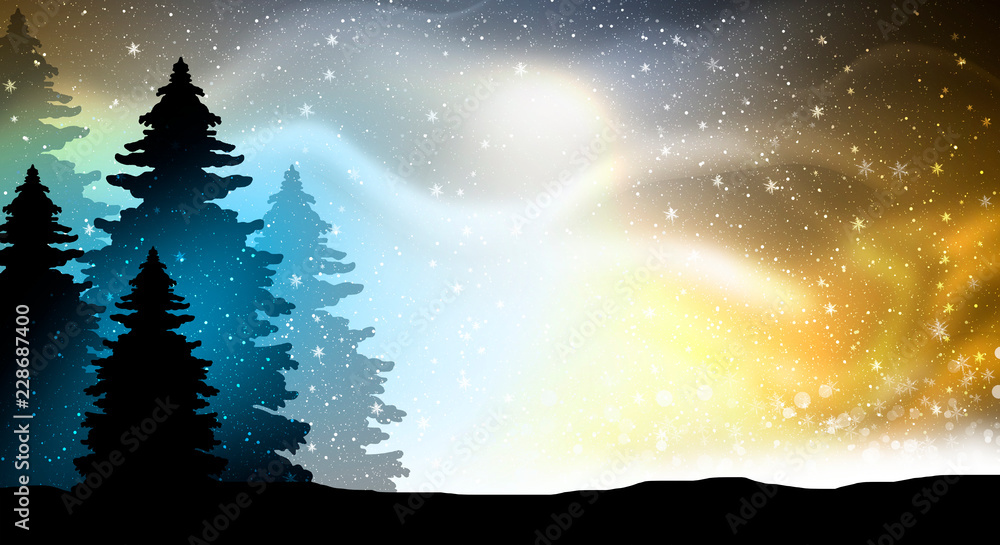 Winter night landscape, northern lights, snow, ate in the snow, the moon, night view. Magic night, festive background.