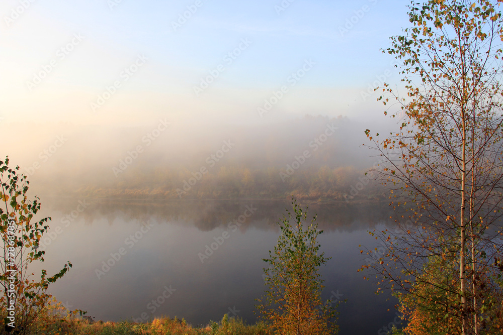 Fototapeta premium Branches of trees on the river bank at sunrise