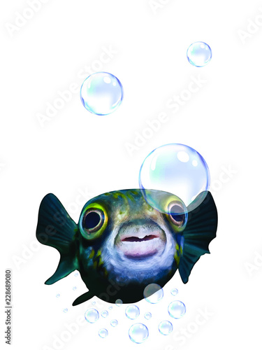 fish