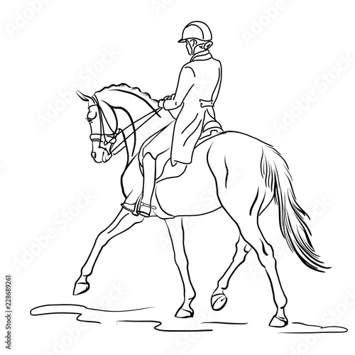 Fototapeta Naklejka Na Ścianę i Meble -  A sketch of a dressage rider on a horse executing the half pass.