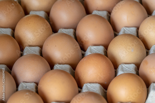 Closeup chicken eggs