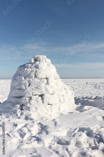 Igloo standing on a snowy glade in the winter