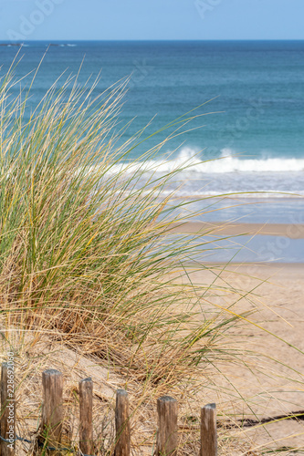 French landscape - Bretagne. View to the sea with dunes and grass in the foreground.