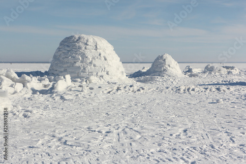 Igloo standing on a snowy glade in the winter