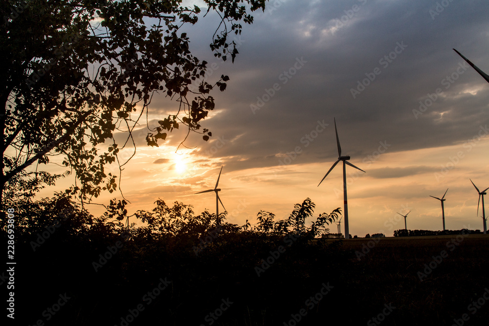 Obraz premium Windkraft - Sonnenuntergang