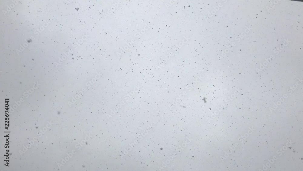 Snow Blizzard Winter Weather Condition Abstract Snow Blizzard Winter Weather Condition Abstract