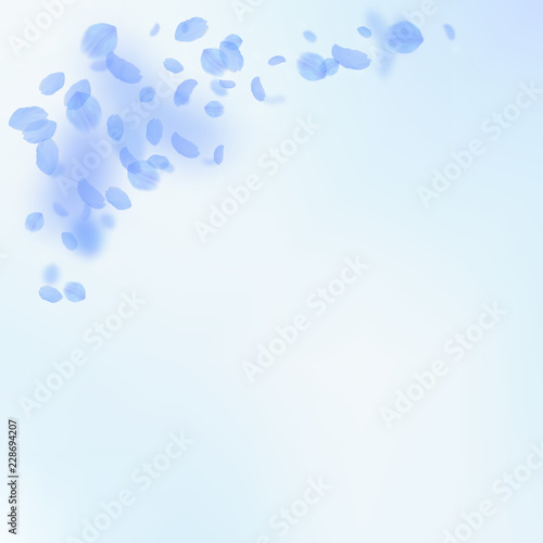 Dark blue flower petals falling down. Magnetic rom
