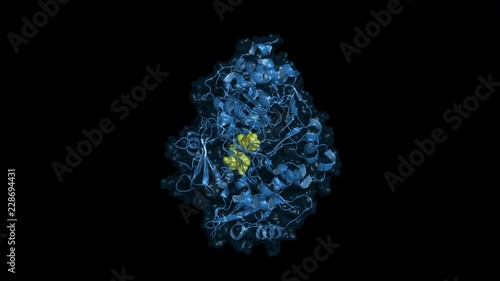 Luficerase enzyme, rotating cartoon model with semi-transparent surface, seamless loop